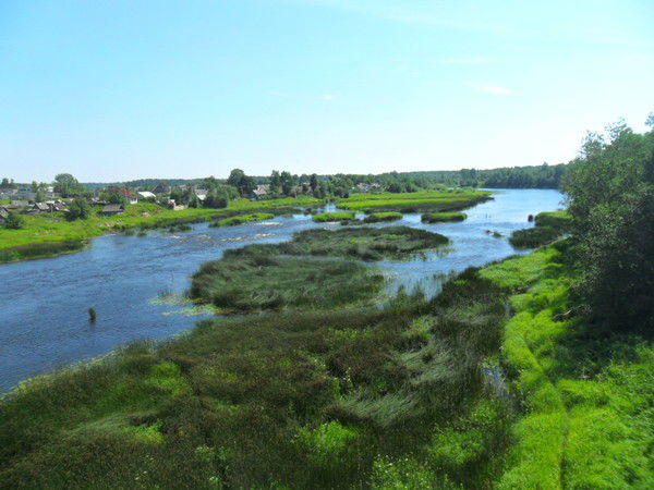 Анна Шаненкова