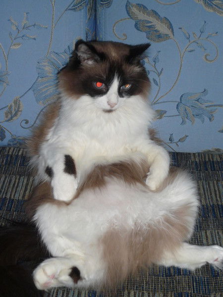 Сергей Плошкин