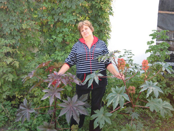 Светлана Епанешникова