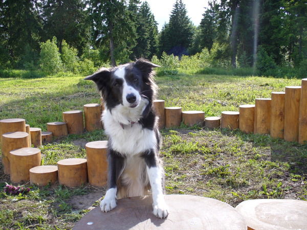 Простите Меня