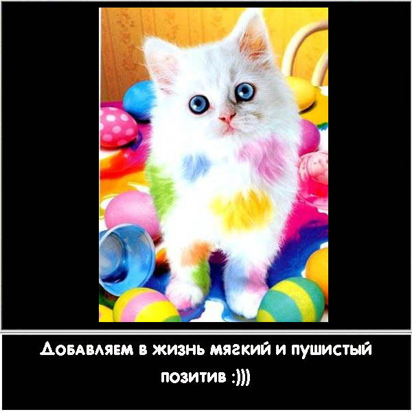 Светлана Камова