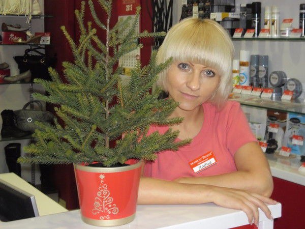 Алёна Андреева