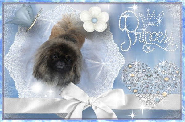 Марина Евдокимова