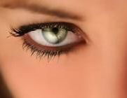 Лара Шевченко