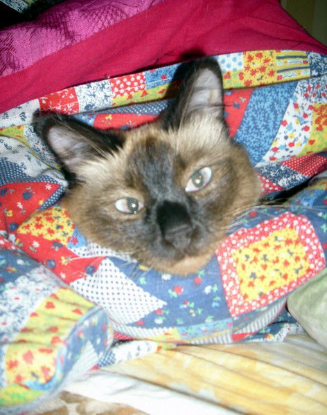 Татьяна Владимировна