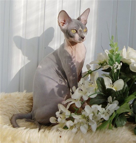 Наталия Бутова