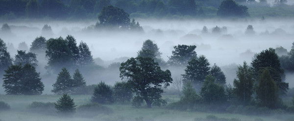 Евгений Кузнецов