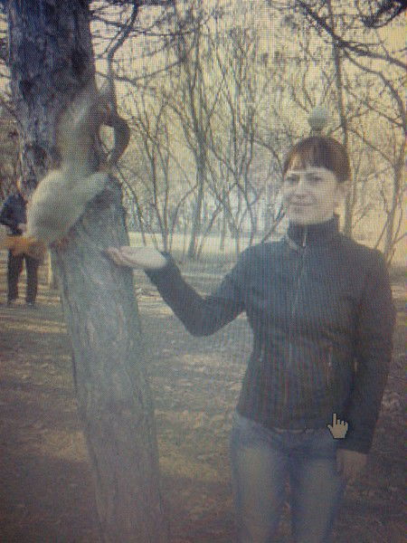 Светлана Гребенкина