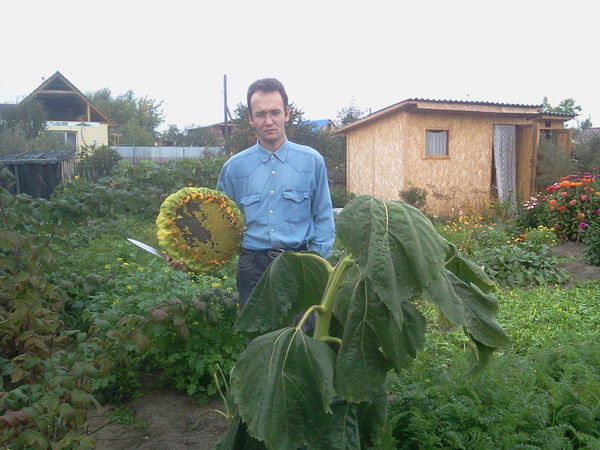 Дмитрий Нурулин