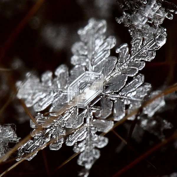 Ириша Патиянц