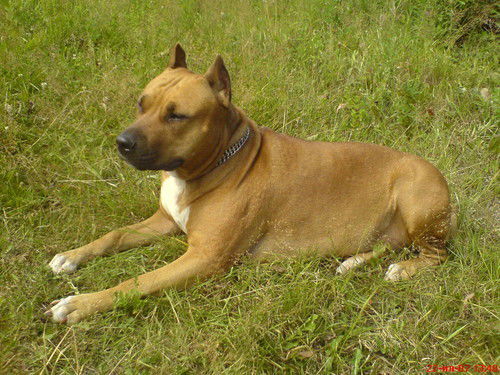 Виктор Анатольевич