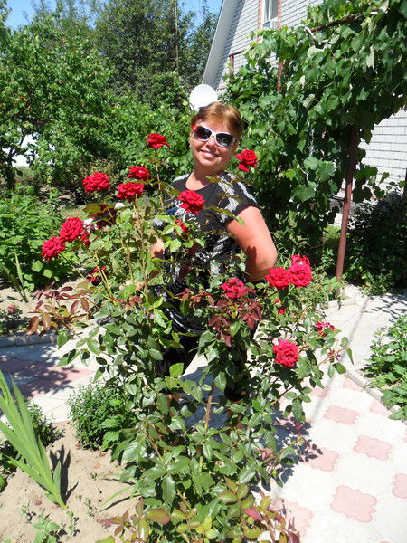 Надя Харланова