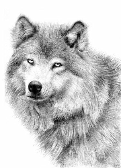 Кирилл Мухин