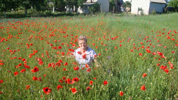 Надежда Березниченко