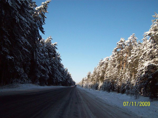 Алексей Мухачёв