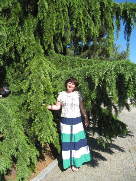 Елена Логунова