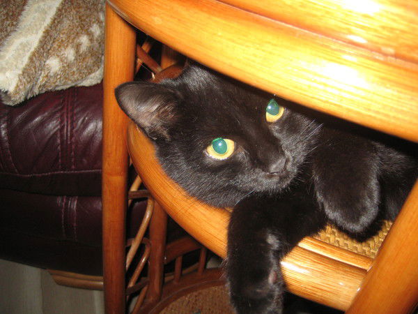 Анастасия Ковалева