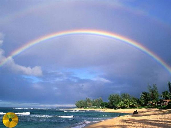 Татьяна Зорина