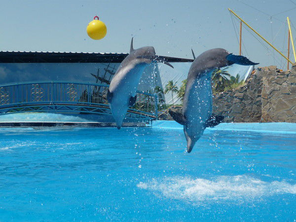 Наталия Чапурина