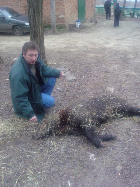 Анатолий Корнелюк