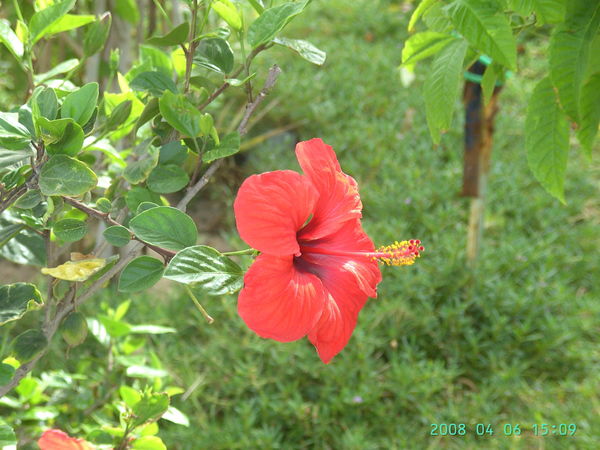 Татьяна Доценко