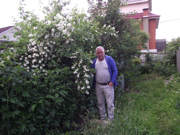 Михаил Славгородский