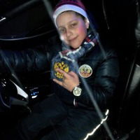 Дамир Челик