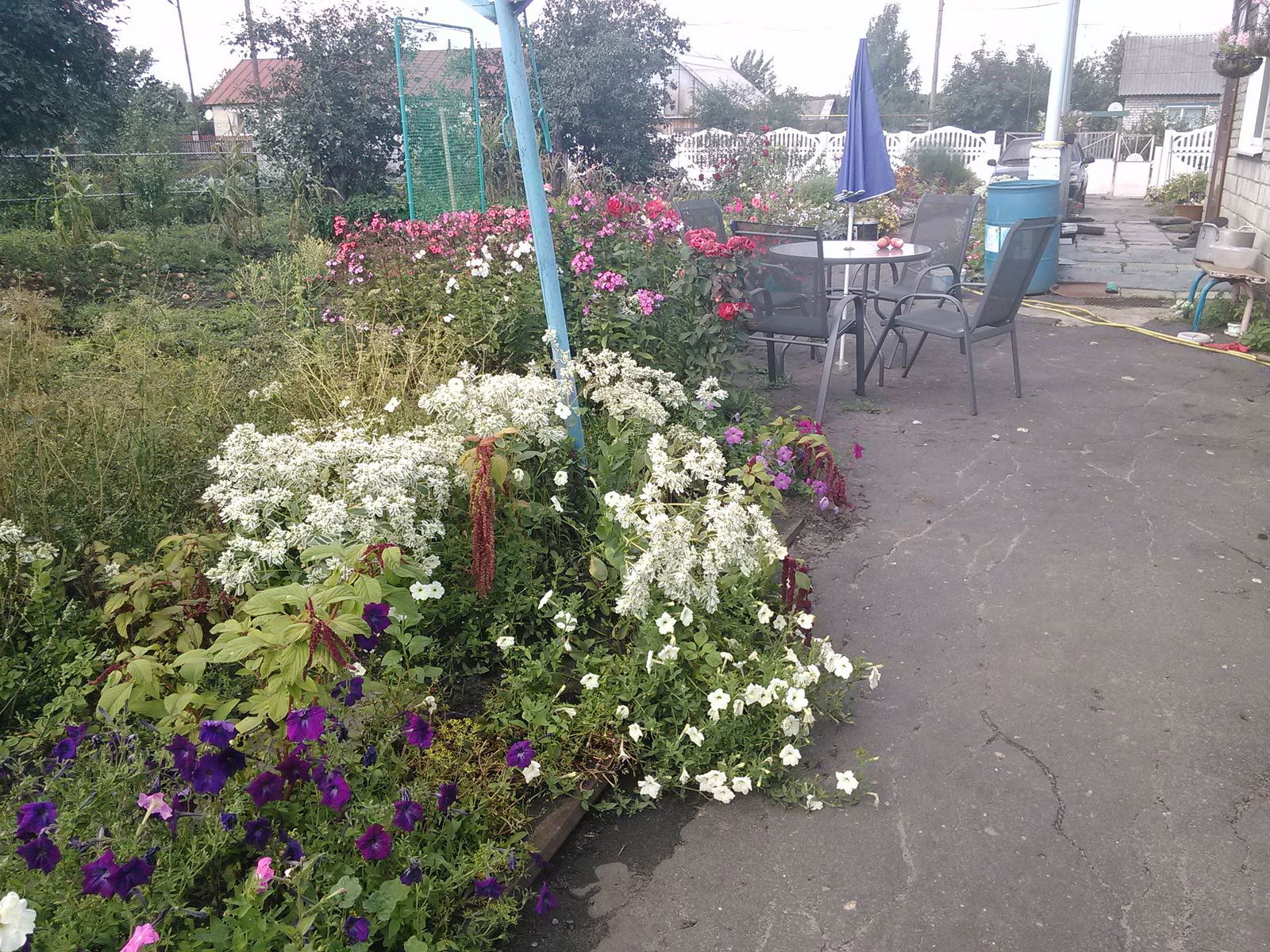 Татьяна Татьяна