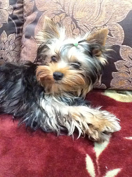 Евгений Баринов