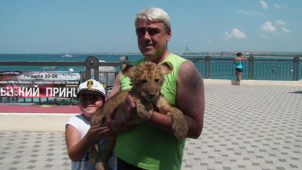 Владислав Жарков