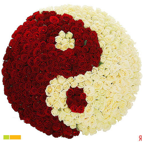 Элеонора Ким