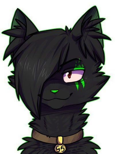 Катя Котова