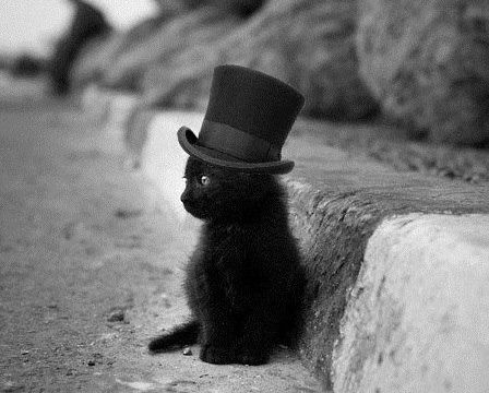 Марианна Прибыткова