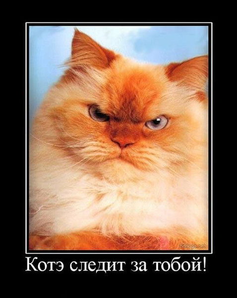 Тата Березовская