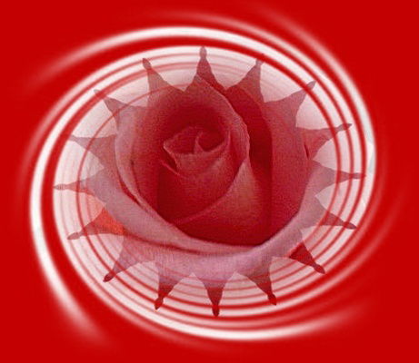 Нелли Корнеевич