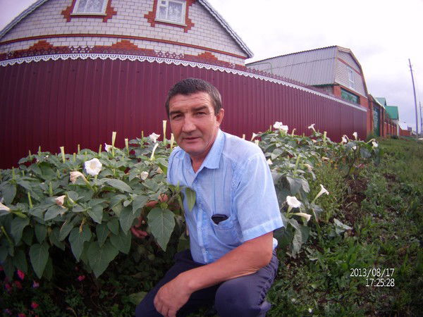 Ильхам Шавалиев