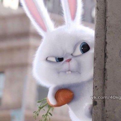 Елизавета Семёнова