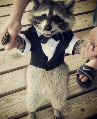 Софья Плеханова