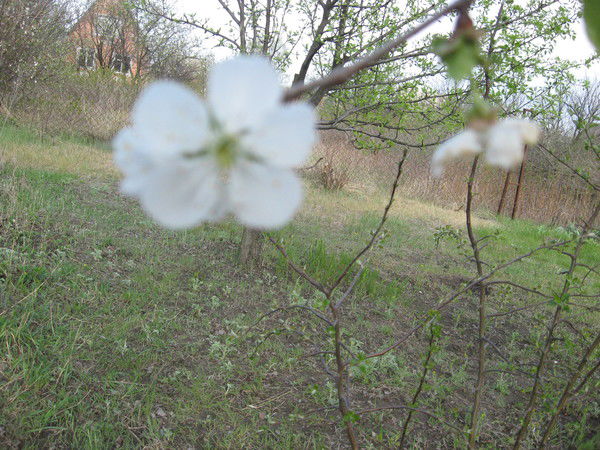 Анатолий Билера