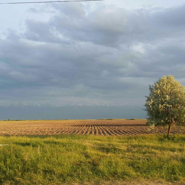 Алибек Конуспаев