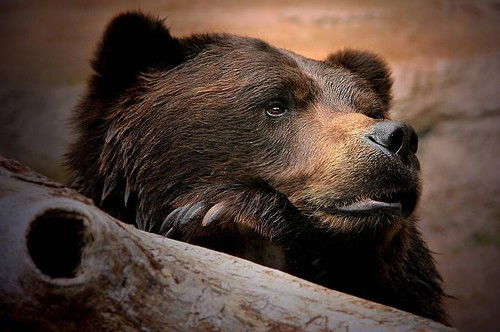 Станислав Надаев