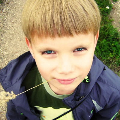 Денис Ширшиков