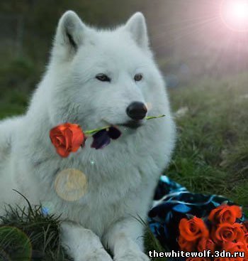 Любовь Первушина