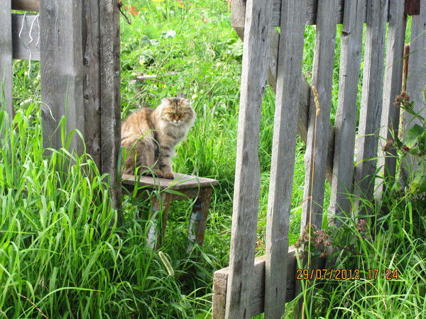 Антон Промыслов