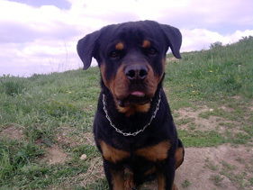 Анна Нефедова