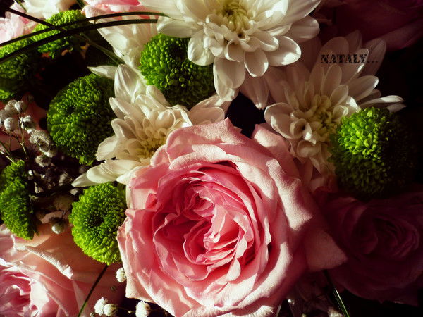 Наташа Каргальцева