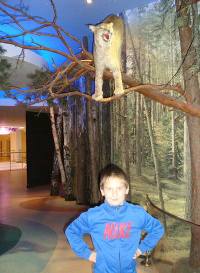 Станіслав Сулік