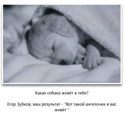 Егор Зубков