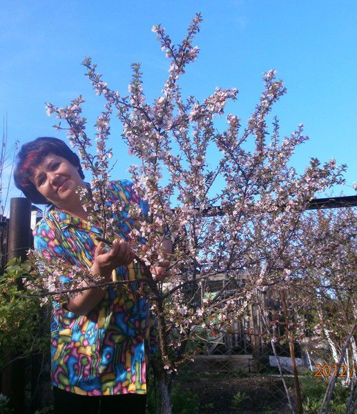 Ольга Валова