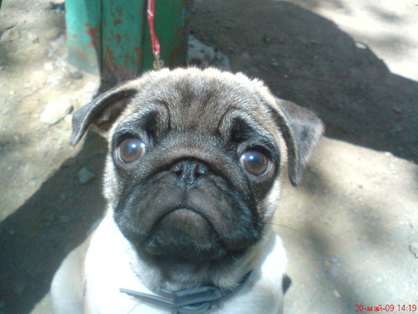 Александр Федоров